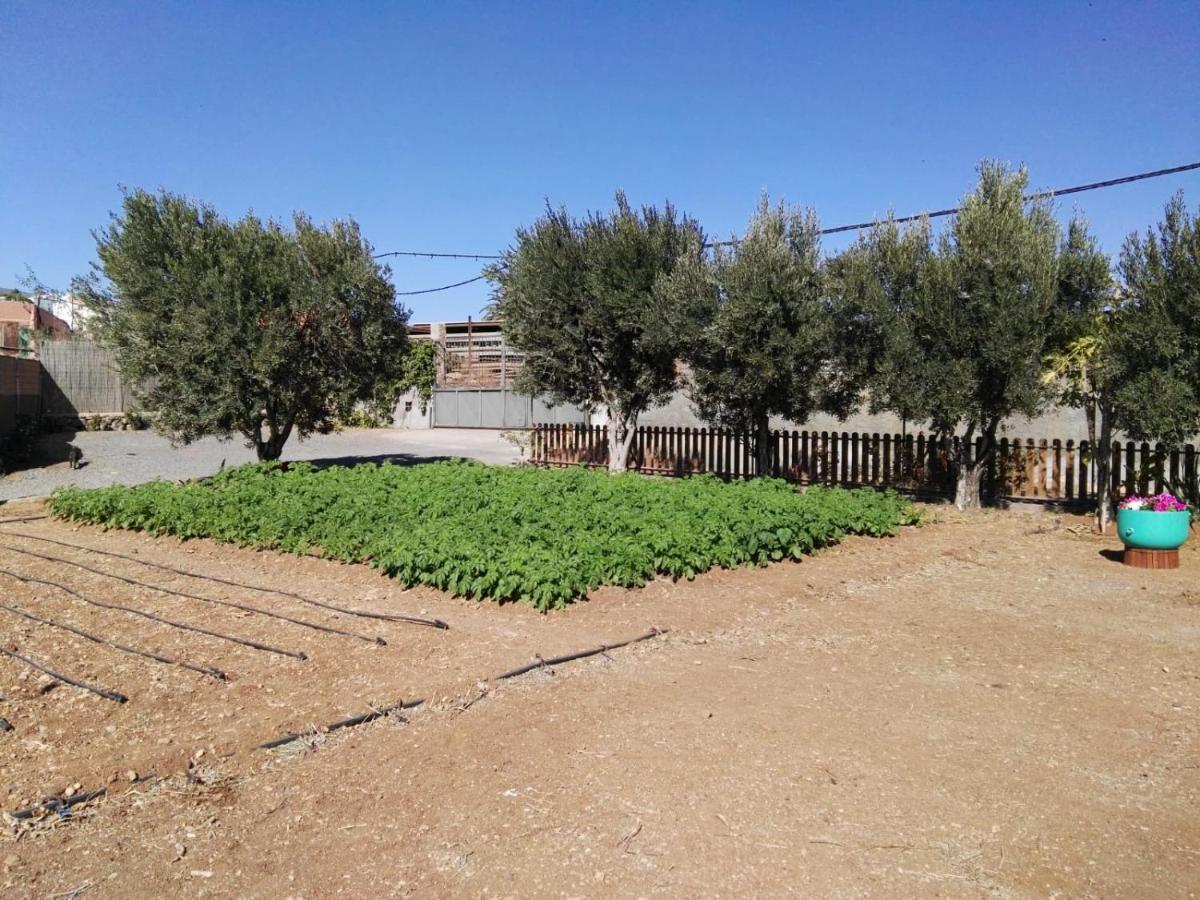 فيلا La Casita Del Naranjo أغيميس المظهر الخارجي الصورة